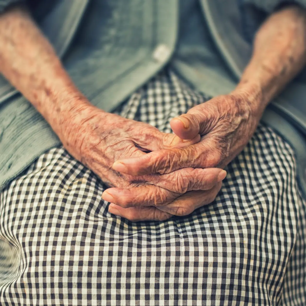 person's hand in shallow focus